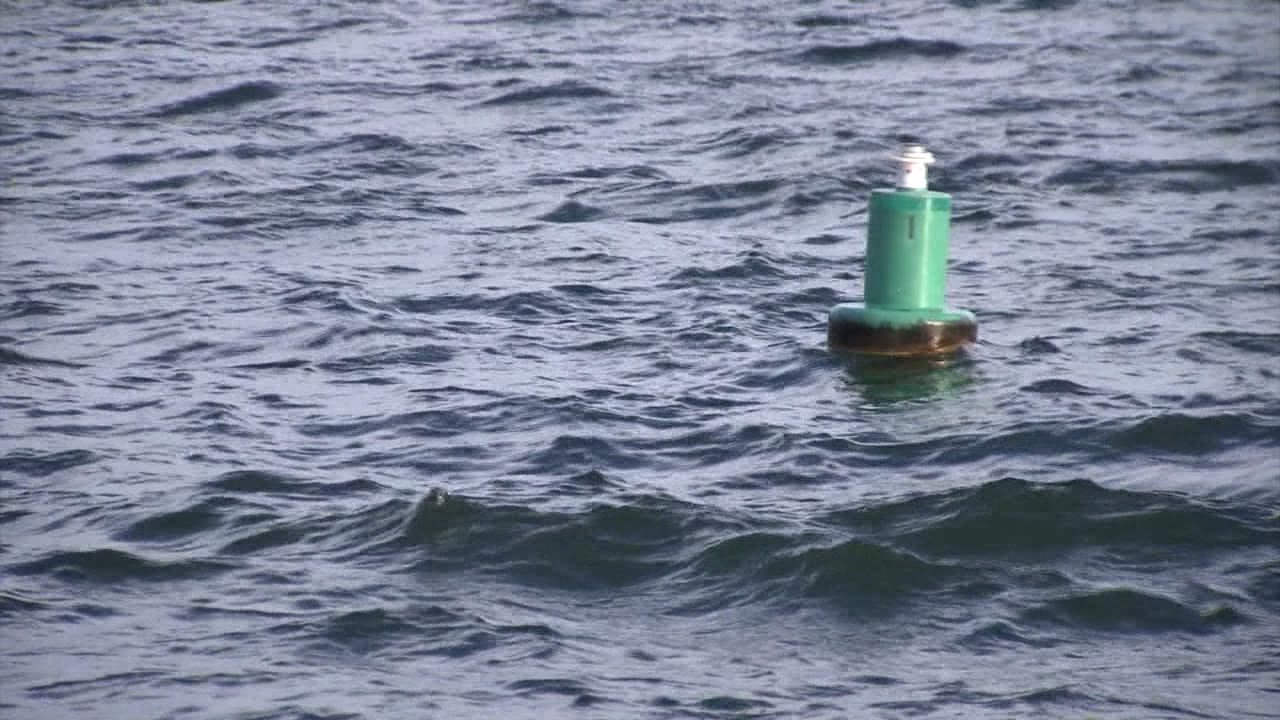 Meeting at Auburn’s City Hall on Harmful Algal Blooms