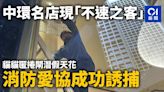 中環名店現「不速之客」 貓貓匿捲閘潛假天花 消防愛協成功誘捕