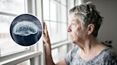 Neuroscientists reveal secret of superagers' excellent memories