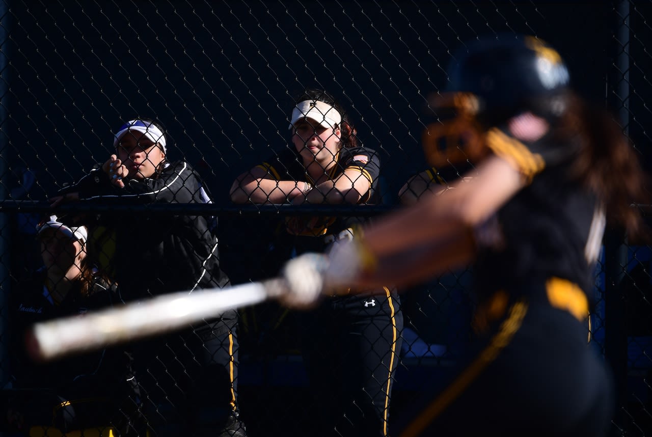 Freedom softball uses 20 hits, 4 homers to rout Parkland in D-11 quarterfinals