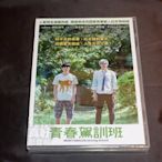 全新日影《青春駕訓班》DVD 豐島圭介 野村周平【惡魔蛙男】 賀來賢人【為了N】