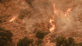 Pioneer fire near Washington state lake Chelan escalates level 3 evacuation - Times of India