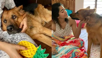 Rashmika Mandanna mourns the demise of her pet dog Maxi