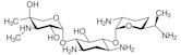 Gentamicin