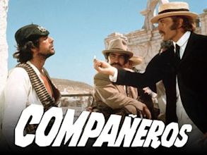 Compañeros (film)