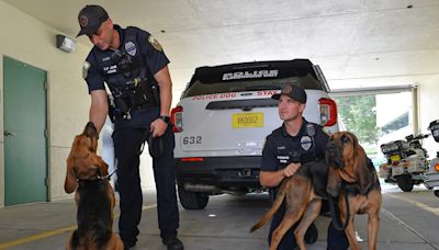 Bloodhounds Hoot and Rylee to help Port St. Lucie Police find missing, endangered people