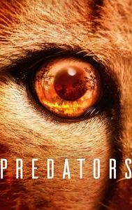 Predators