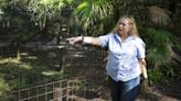 Carole Baskin plans to sell Big Cat Rescue, send animals to Arkansas