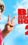 Big Momma s House 2