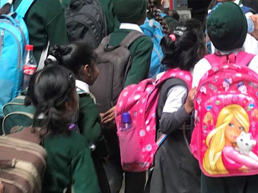 Education Ministry Notifies Guidelines For Bagless Days For Classes 6-8