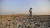 Last 12 months were hottest ever recorded: Report