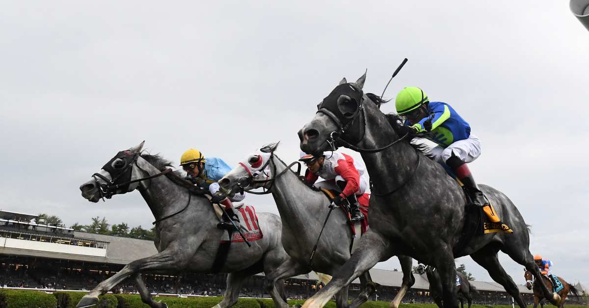 The Grey Wizard Nails Three-Horse Photo In Belmont Gold Cup