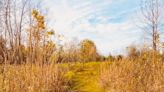 A hiker's path: Taking the Timberdoodle in Columbia Mine Preserve