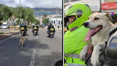 Policías adoptaron perrito que los persiguió por las vías de Bogotá: así fue la conmovedora escena