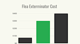 How Much Does a Flea Exterminator Cost?