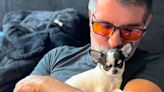 Simon Cowell Says He's 'Just Fallen in Love’ as He Cuddles Adorable Black and White Puppy