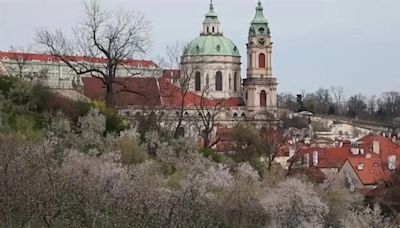 Primavera en la capital checa