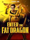 Enter the Fat Dragon (2020 film)