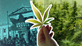 10 números que explican los primeros diez años de legalización de la marihuana en Uruguay