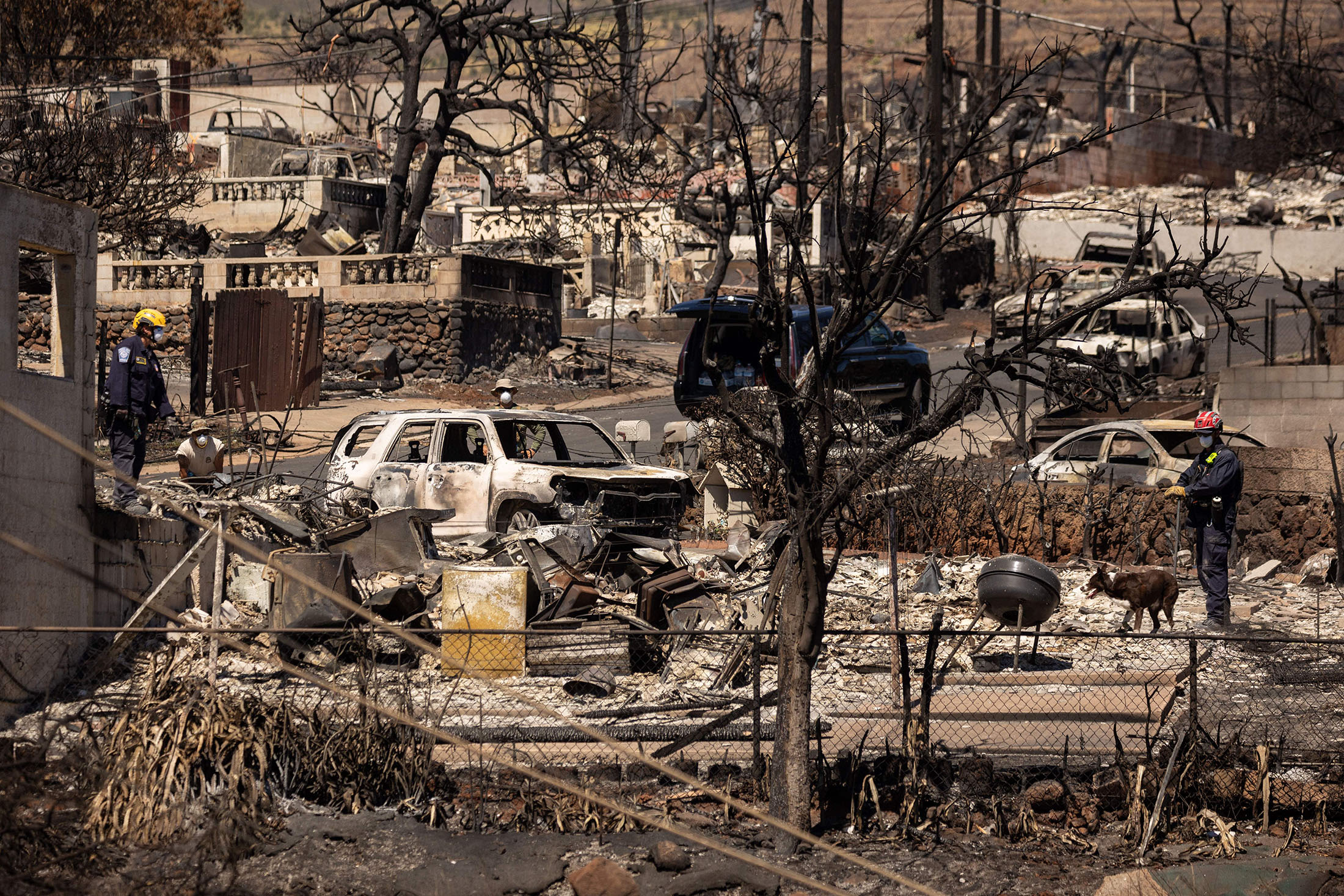 Hawaii Probe Finds No Single Factor Led to Maui Wildfire Losses