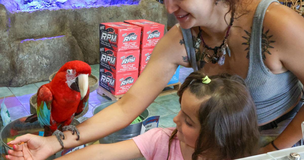 PHOTOS: The Ark Pet Shop in Merrillville turns 45