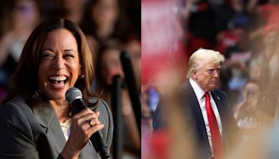 White House, Kamala Harris' campaign slam Trump after ex-Pres questions 'if she is black or Indian'