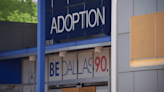 Dallas Animal Services and Adoption Center over capacity, pets in search of new homes