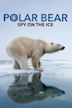 Polar Bear: Spy on the Ice