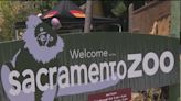 Elk Grove mayor, zoo director share excitement, plans as relocation effort moves forward