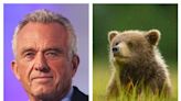 RFK Jr. says he planned to skin a dead bear cub after it was hit by a van but later dumped it in Central Park