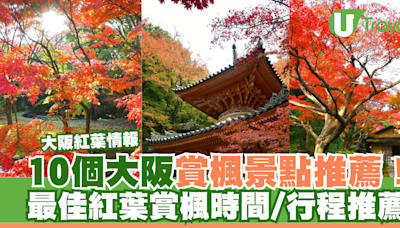 大阪紅葉情報2024｜10個大阪賞楓景點推薦！最佳紅葉賞楓時間/行程推薦 | U Travel 旅遊資訊網站