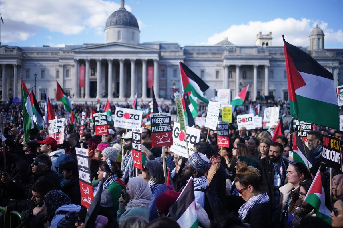Gaza protests costing Met police £6million a month as more than 300 arrested at London marches