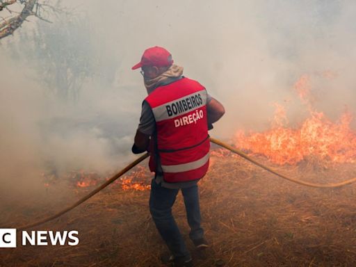 EU mobilises firefighting planes to tackle Portuguese wildfires