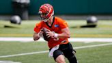 Bengals Minicamp Preview: Four Things We'll Be Watching For This Week