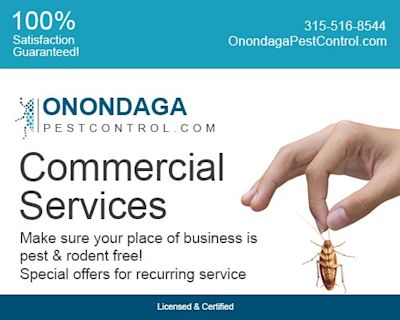 Gannon Pest Control Syracuse Yahoo Local Search Results