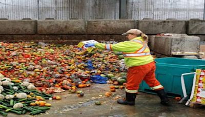 AI-enhanced garbage bins aim to solve food service’s waste problem