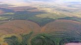 8,000-year-old ruins turn out to be world’s oldest fortress. See the site in Siberia