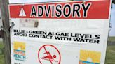 Blue-green algae health alert issued for Lake Okeechobee in Martin County