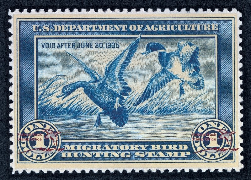 The Surprising History of the Duck Stamp Takes Wing in a Museum Show