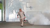 Casos de dengue se disparan en Nuevo León; niños y jóvenes los más afectados