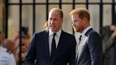 Prince William ‘spitting mad’ at brother Harry for repeatedly mentioning Princess Diana in public