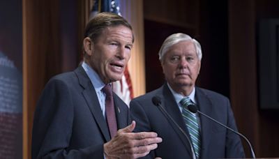 Graham, Blumenthal unveil bill labeling Russia state sponsor of terror