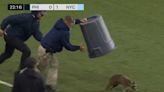 Watch: Raccoon stops play in MLS