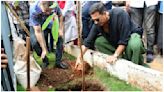 Akshay Kumar joins tree plantation drive in Mumbai, promotes environmental sustainability