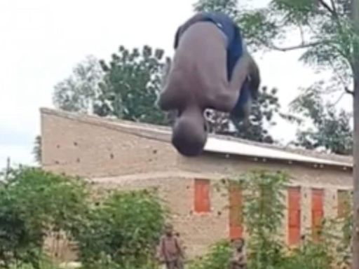 Video Of Boy Doing Double Flip Mid-air Using A Tyre Viral - News18