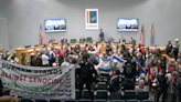 Durham council meeting comes to a halt as protesters call for ceasefire in Israel-Hamas war