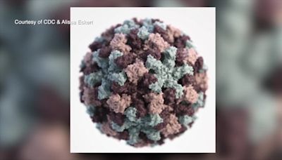 Norovirus hanging on late into the season, doctors say. How to protect yourself and what to watch for.