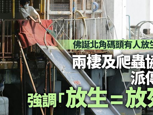 佛誕｜兩棲及爬蟲協會北角碼頭派傳單阻放生 宣傳放生等如放死