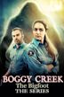 Boggy Creek: The Series