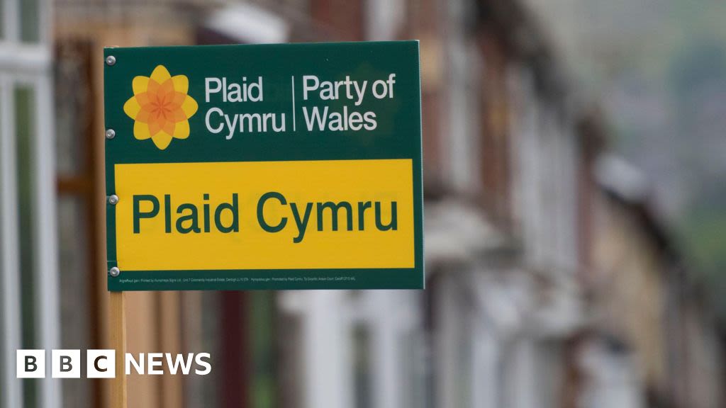 Plaid Cymru withdraws candidate support over social media posts